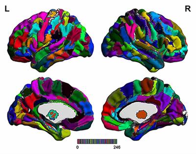 A <mark class="highlighted">Brainnetome</mark> Atlas Based Mild Cognitive Impairment Identification Using Hurst Exponent
